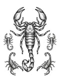 Scorpion
