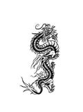 Japanese Dragon