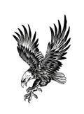 Soaring Eagle