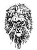 Lion Warrior