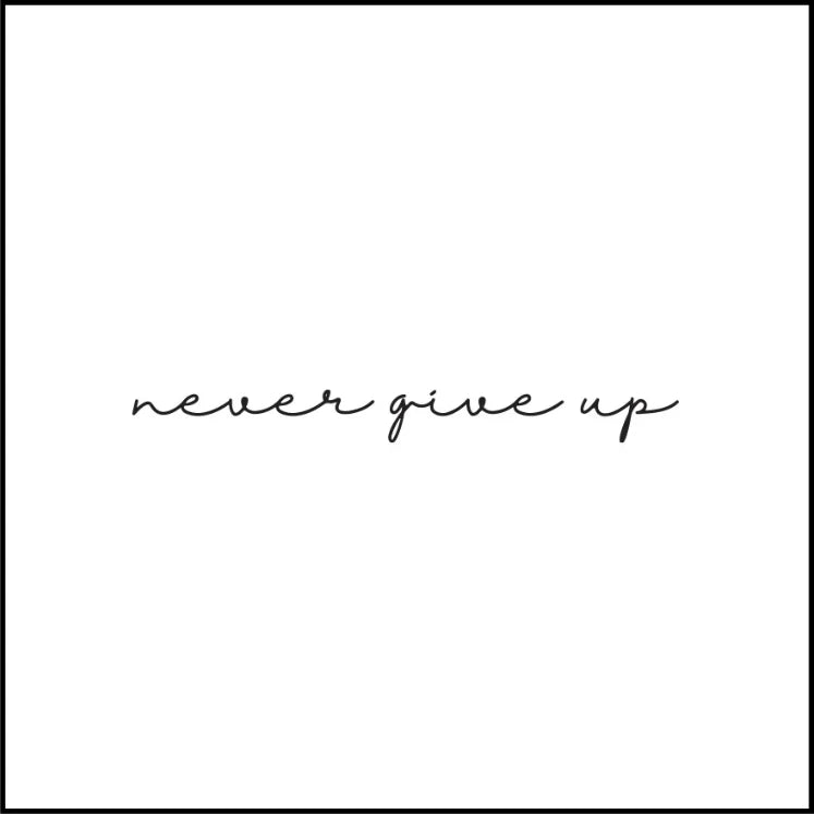 Never Give Up